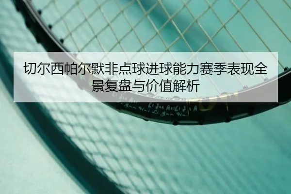 切尔西帕尔默非点球进球能力赛季表现全景复盘与价值解析